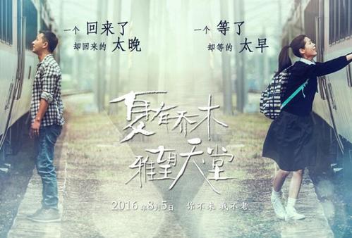 蒂尔堡大学证书